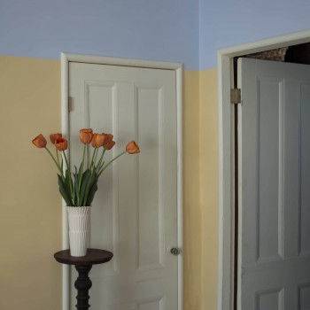 Two Doors with First Tulips