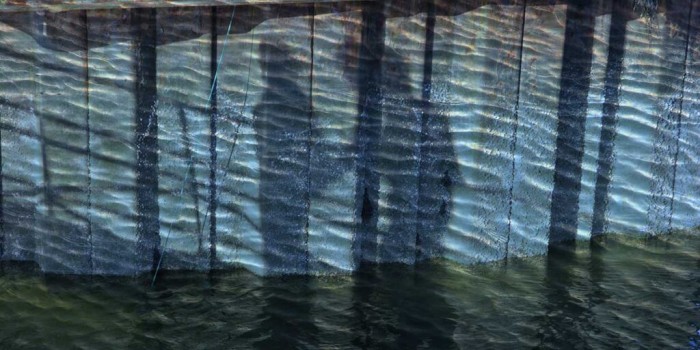Dock Shadows with Tide