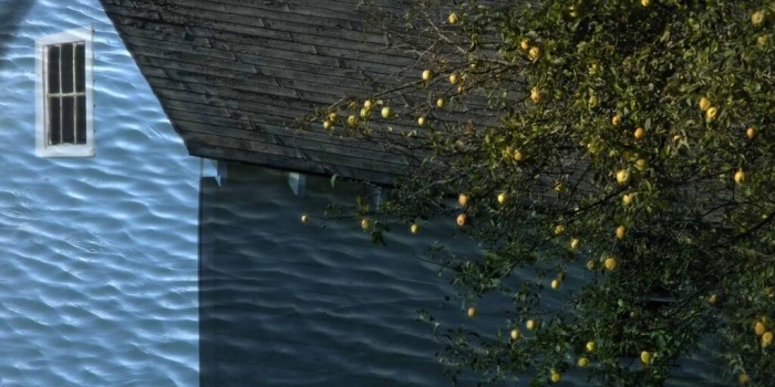Boat Barn with Yellow Crabapples